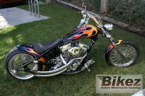 2010 Ultra Ground Pounder Rigid 300 photo